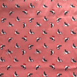 Puffins Coral