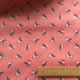 Puffins Coral