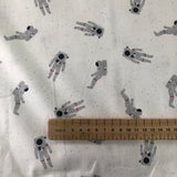 Nasa