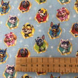 Paw Patrol