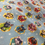Paw Patrol